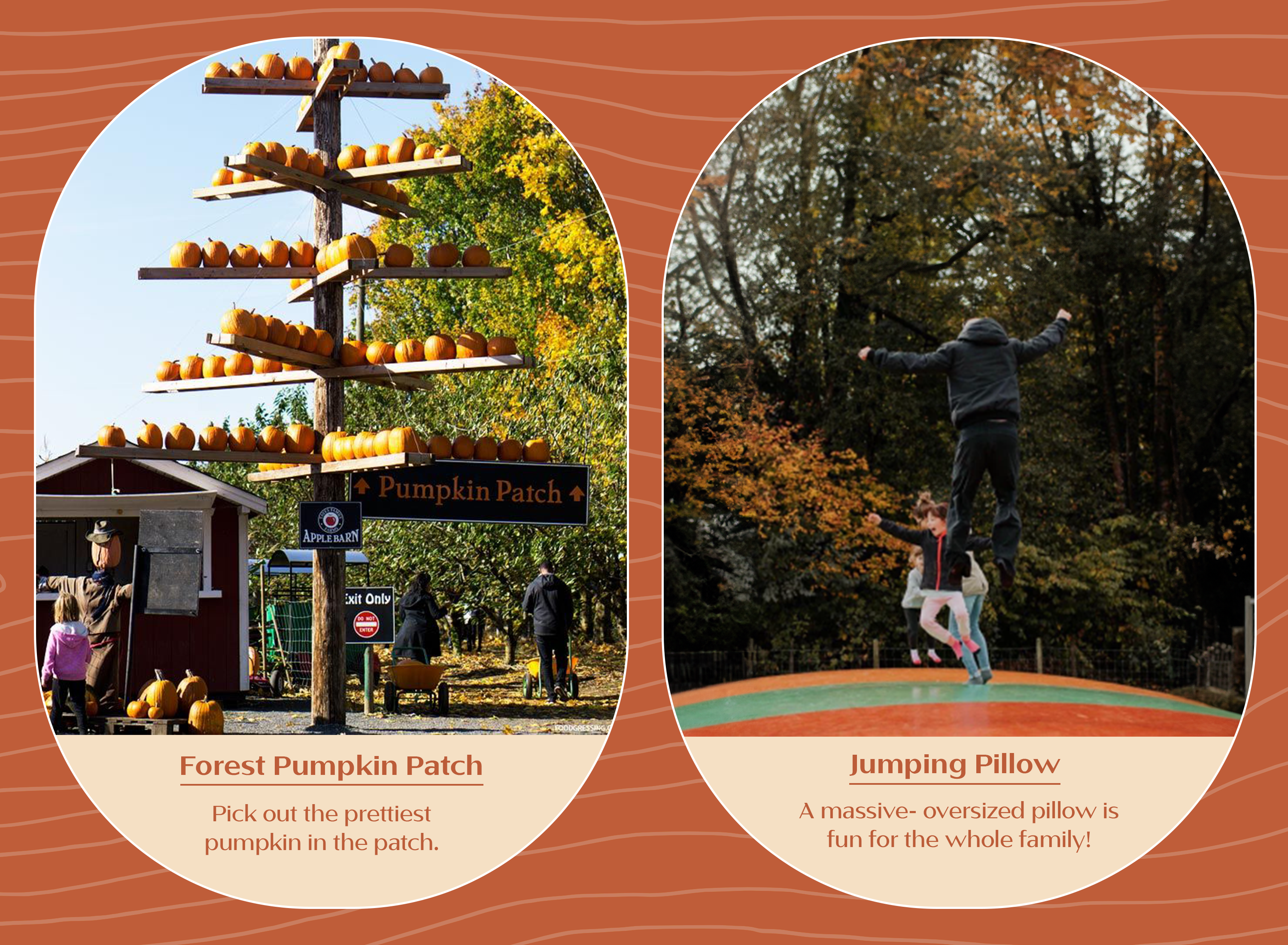 Abbotsford tourism branding