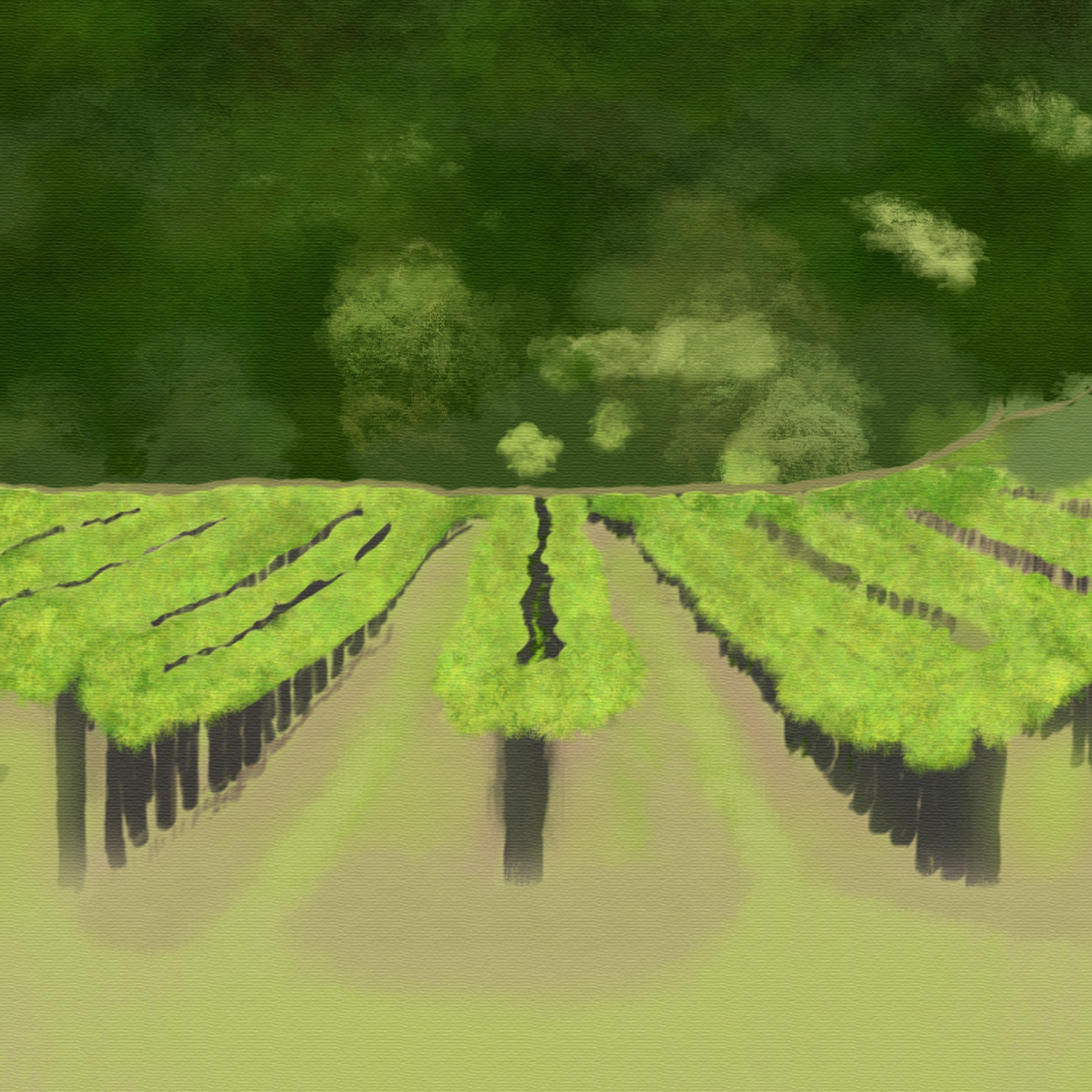 Solstice Vineyards Brand identity design