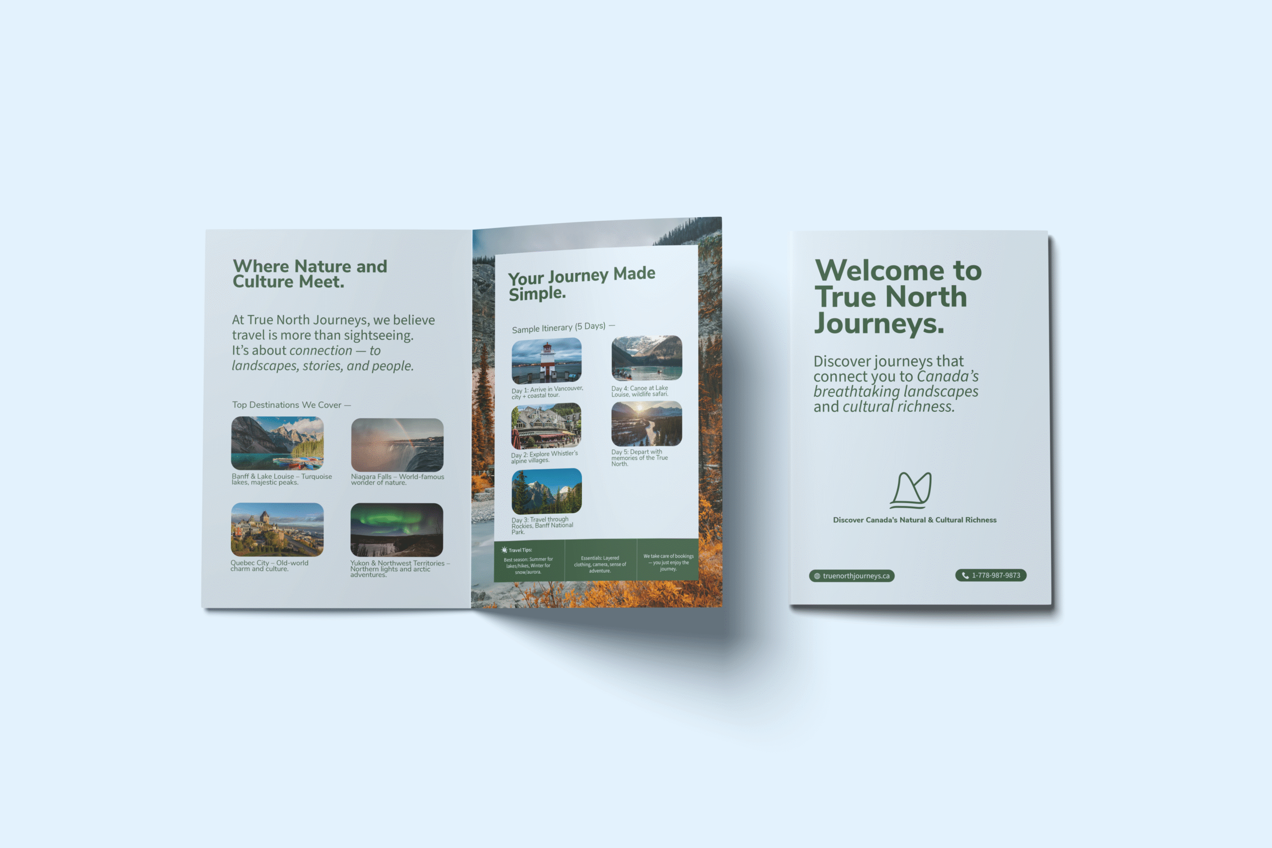 brand identity design
